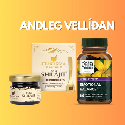 Andleg Vellíðan