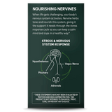 🌿Emotional Balance®