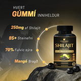 SHILAJIT Sykurlaust Gummi – 30 stk 💪✨