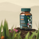 🌿Turmeric Supreme® Joint Health
