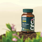 Milk Thistle 60 stk
